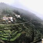 Olinda Casas Figueiras