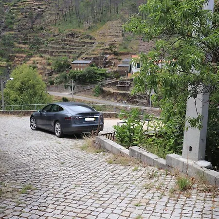 Olinda *