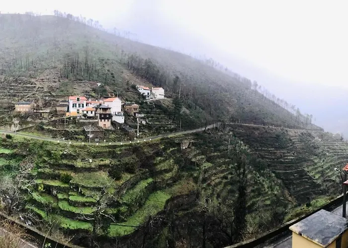 Olinda Casas Figueiras